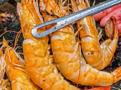 -杨小佳·齐齐哈尔烤肉·烤串(广州店)