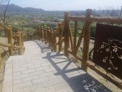 -白水寺森林公园