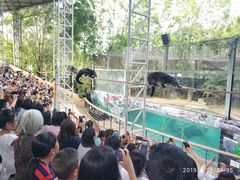 -清迈夜间动物园