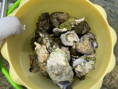 -三亚鹿回头高尔夫球会-停车场