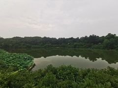 -汉陵苑