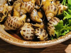 秘制糟花螺-周家二小姐的菜(西津渡店)