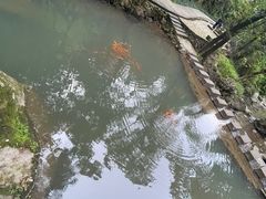 -石门洞景区