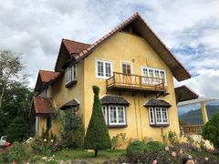 -黄色小屋