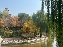-迎泽公园
