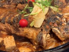 -老板恋上鱼(恒隆广场店)