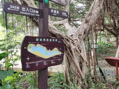-华侨城湿地公园