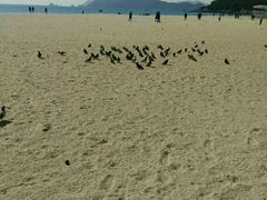 -海云台海滩