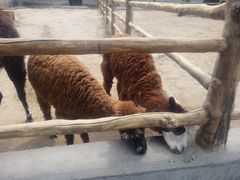 -西安秦岭野生动物园