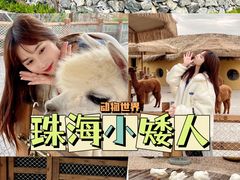 -珠海海泉湾神秘岛亲子乐园