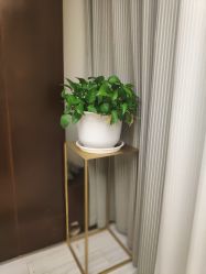-至臻康妍健康管理中心