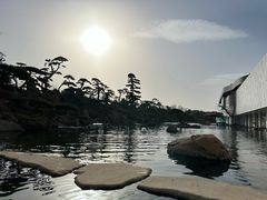 -罗红摄影艺术馆