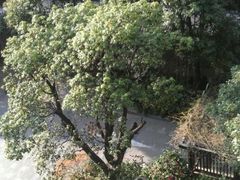 外景-上海利园国际大酒店(中山医院店)