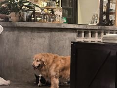 -自由生长植物工作室(深港花卉中心店)
