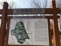 -东郊湿地公园