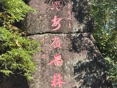 -汤旺河林海奇石景区