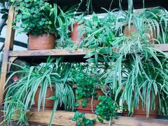 -中8楼风尚云南菜(颐堤港店)