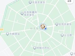 -特克斯八卦城