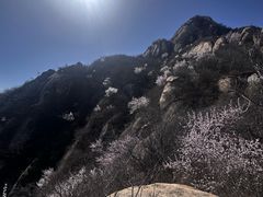-北京凤凰岭