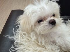 -凤凰汇购物中心