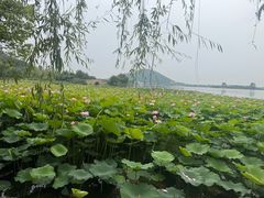 -南北湖风景区