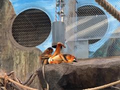 -香港海洋公园