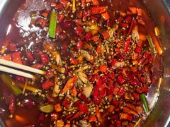 -宽口美蛙鱼头(大唐西市店)