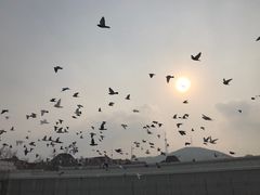 -大连人民广场