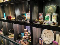 -雪灵魔法世界SHELLY’S TAROT(大良桂畔里店)