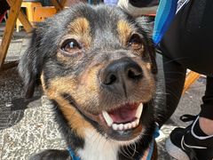 -乌镇天下第一锅羊肉面馆(烟雨社区烟雨苑店)