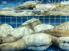 -渔人湾码头海鲜市场负二楼