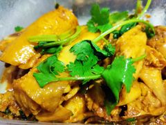 -九斤黄三黄鸡专卖店