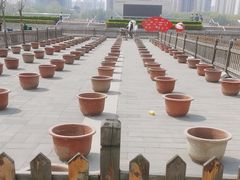 -莲花池公园