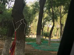 -尚庄度假村·庭台树下·户外烧烤·团建CS·轰趴营地(上庄水库店)