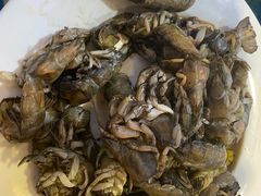 -闯关东东北农家菜(崂山石老人店)