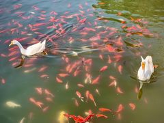 -西安汉城湖景区