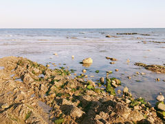 -刘家湾赶海园