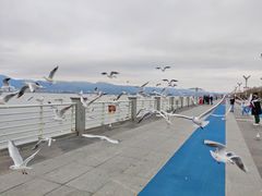 -滇池海埂公园