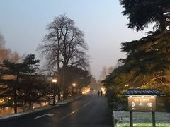 -钓鱼台国宾馆