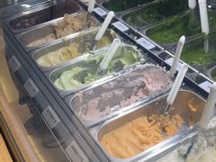 -鹤茶野所(上海首店)