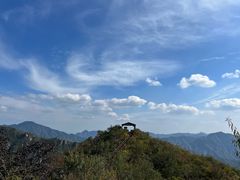 -大岭沟猕猴桃谷风景区