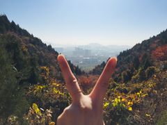 -府君山公园