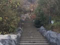 -巢湖姥山岛