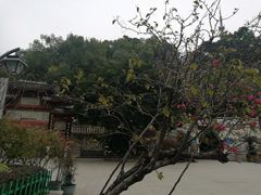 -乌山风景区