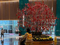 -亚洲国际大酒店
