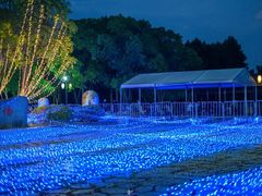 -苏州太湖国家湿地公园
