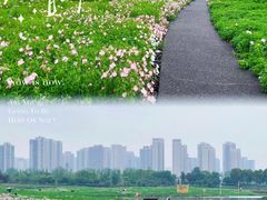 -洋湖国家湿地公园