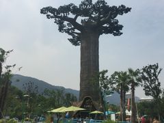 -苏州乐园森林水世界