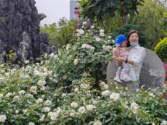 -人民公园(罗湖区)