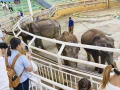 -大连森林动物园